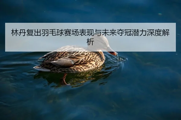 林丹复出羽毛球赛场表现与未来夺冠潜力深度解析